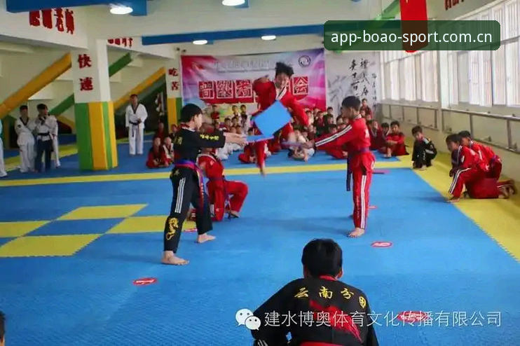 博奥体育平台下载教程深度评测：从零开始的手把手体验报告